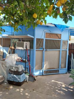 Catio