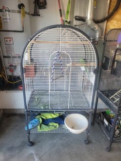 Bird Cage