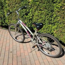 Crestwood DBX Women's Mountain Bike. Gear Changer Is Broke So Only Low Gear Is Working