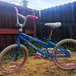Seastar Huffy Bike