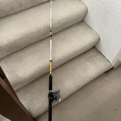 Salt Water Fishing Rod 