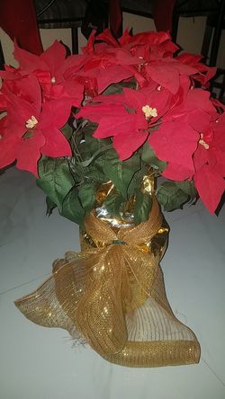 Artificial chistmas poincetias