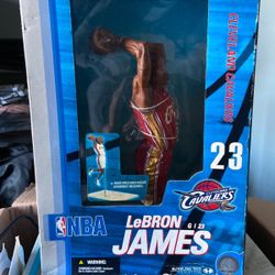 Lebron James 12” Series