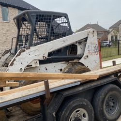 Bobcat 