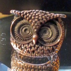 Owl Design Ring $ 10.00