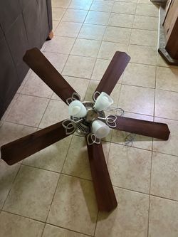 Ceiling Fan