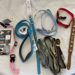 New Dog Collars And Leashes 