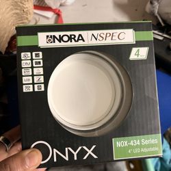 Nora 4in LED adjustable 