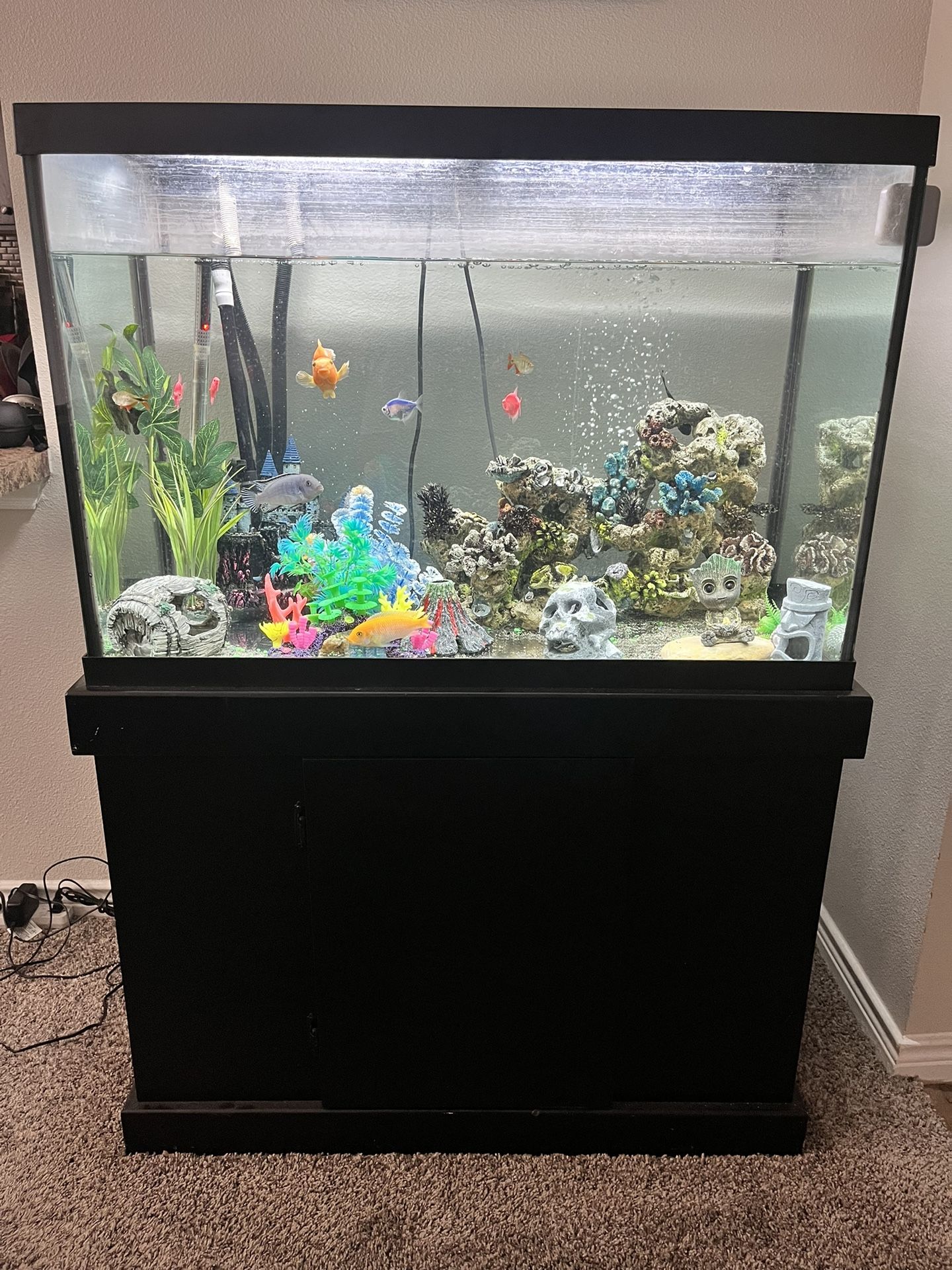 65 Gallon Fish Tank And Stand 