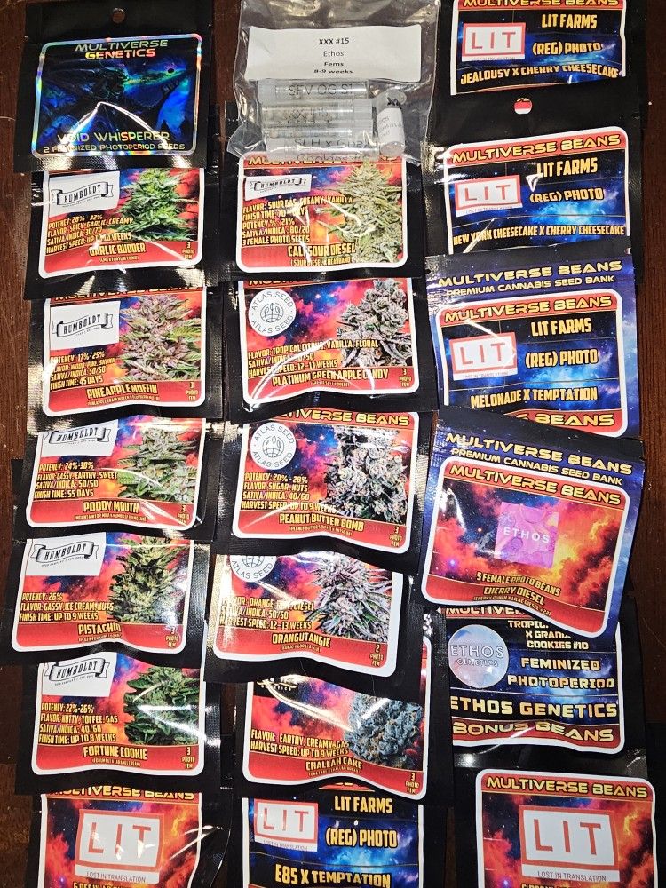 🔥♨️🔥FIRE🔥♨️🔥