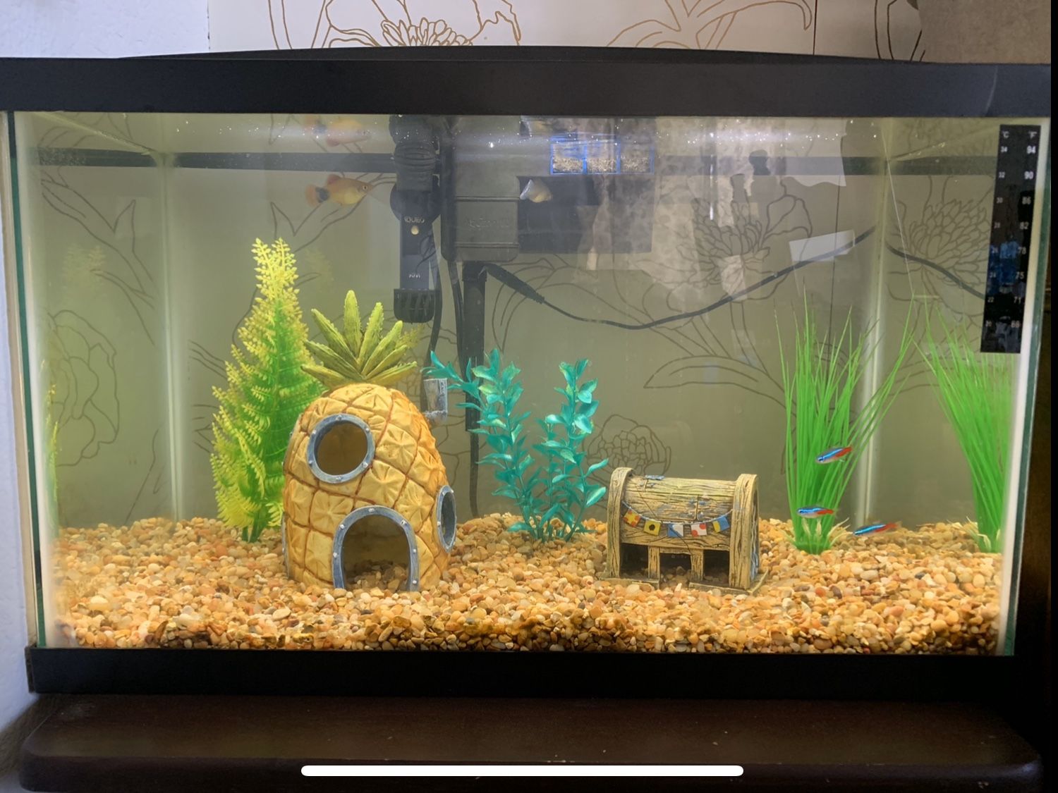 Petco Fish Tank 10 Gallon with filter and cleaning supplies no fish