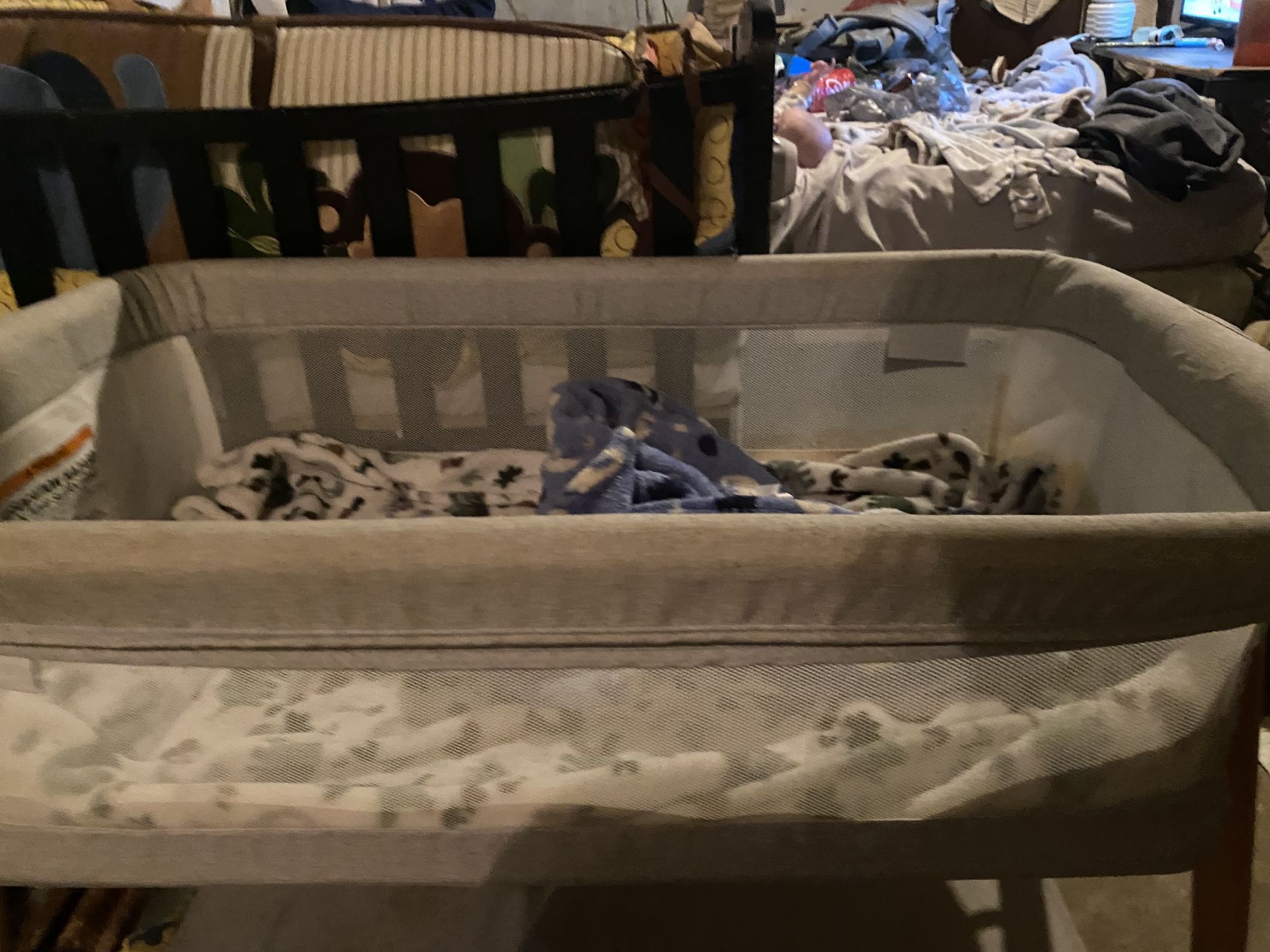 bassinet 
