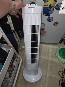 Oscillating Standing Fan