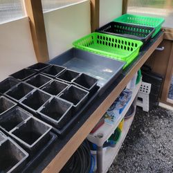 Greenhouse Plant Trays