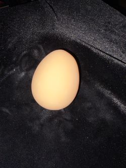 Egg squishy