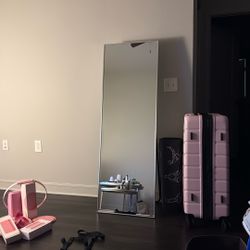 $100 2 X 1 Floor Mirrors