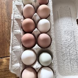 Organic Free Range Chicken Eggs