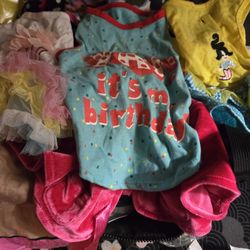 7 Outfits Small Dog & 6 Small Colars $20.00 (Serious Buyers) Cash Only 