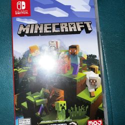Minecraft🧱🪓Nintendo Switch 🔴⚪️