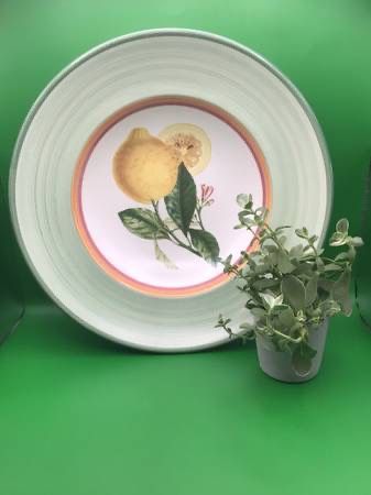 Villeroy and Boch Faience Pasta Bowl Made in Portugal