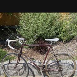 Vintage Schwinn Sprint Chicago Road Bike 10 Speed Bicycle 