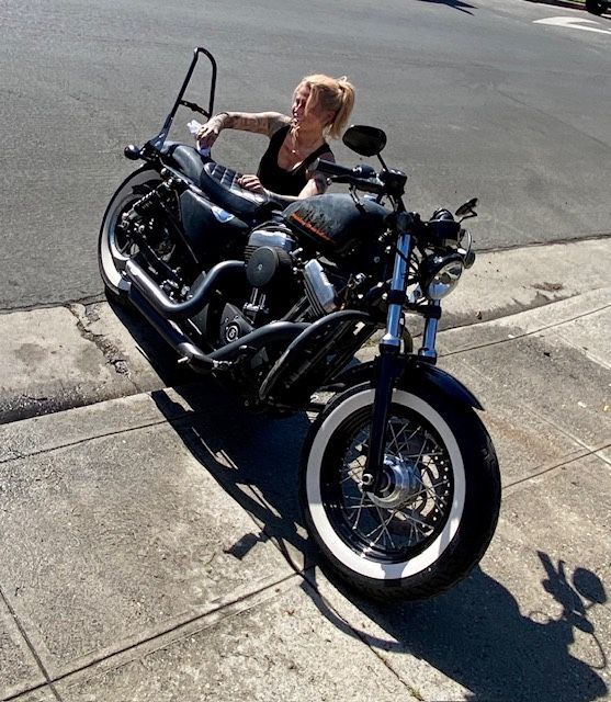 2015 Harley Davidson Forty Eight Sportster 1200cc