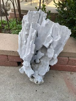 Large Natural White Coral Specimen