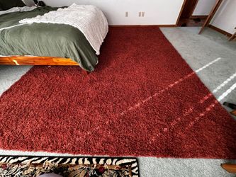 Rust / Terracotta Shag Area Rug