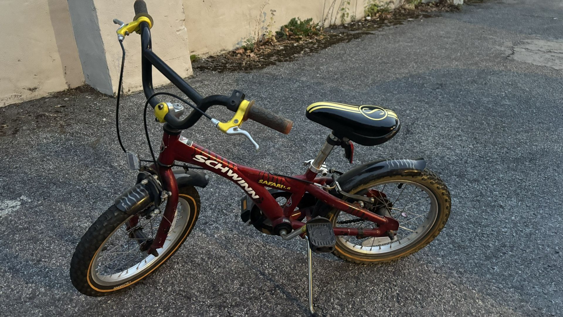 Schwinn Bike