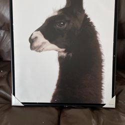 Threshold Llama Framed Printed Wall Canvas