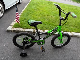 Bike- Schwin