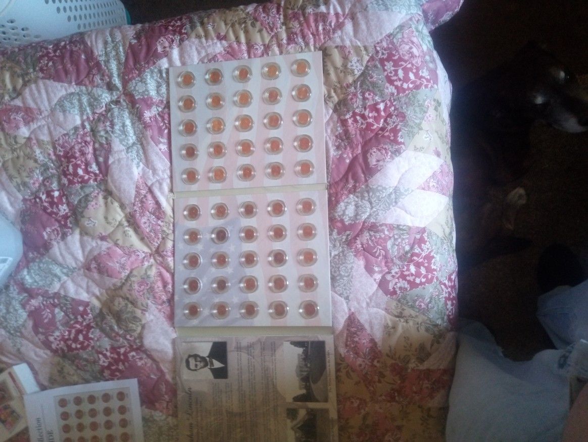 The Lincoln Cent  Collection (50 Pennies)