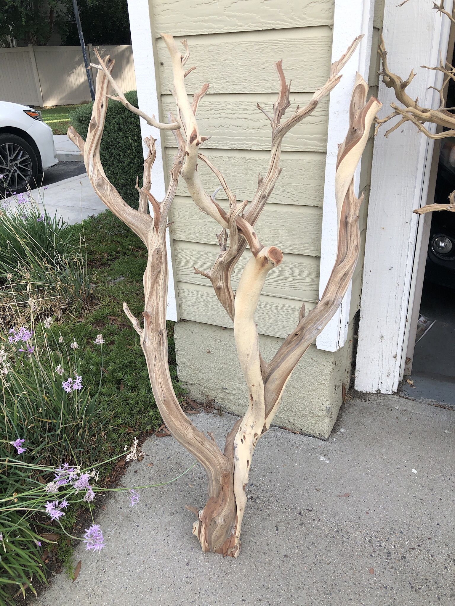 Driftwood twigs cheap for sale