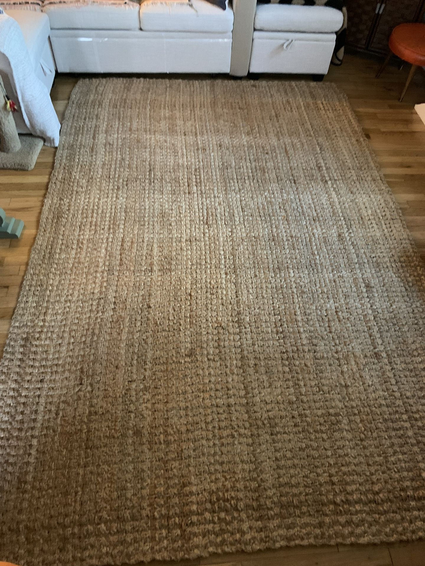 World Market Jute Rug