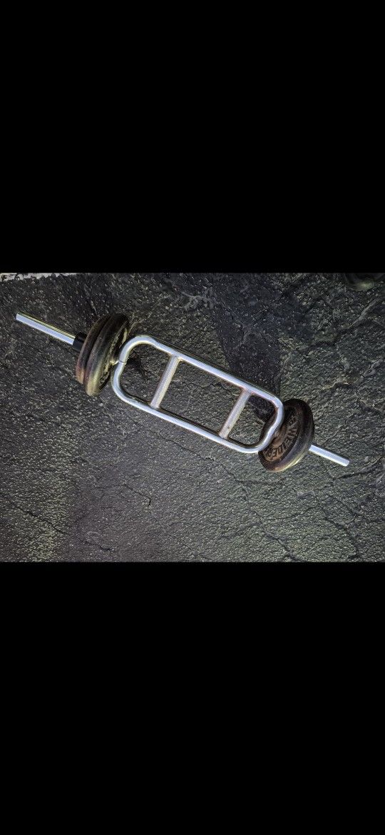 Tricep Bicep Bar N Weights 