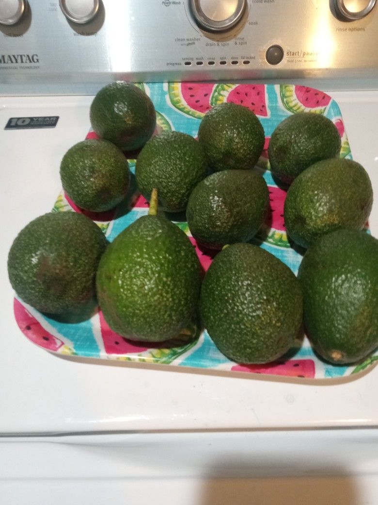 aguacates grandes a $1 cada uno