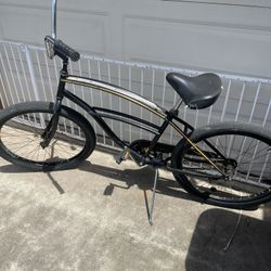 Beach Cruiser Bike
