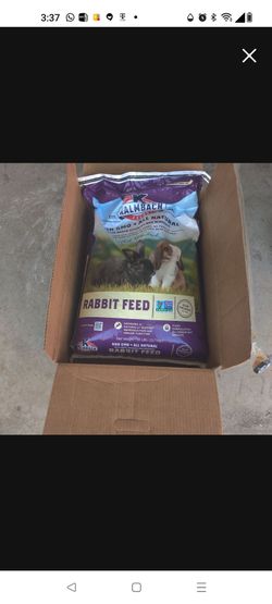 Feed rabbits