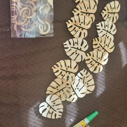 Wall Climbing Plant Hooks