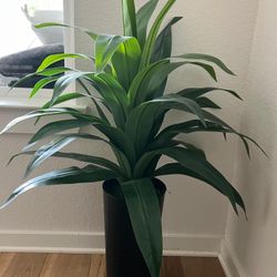 fake plant