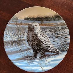 "The Snowy Owl" Plate