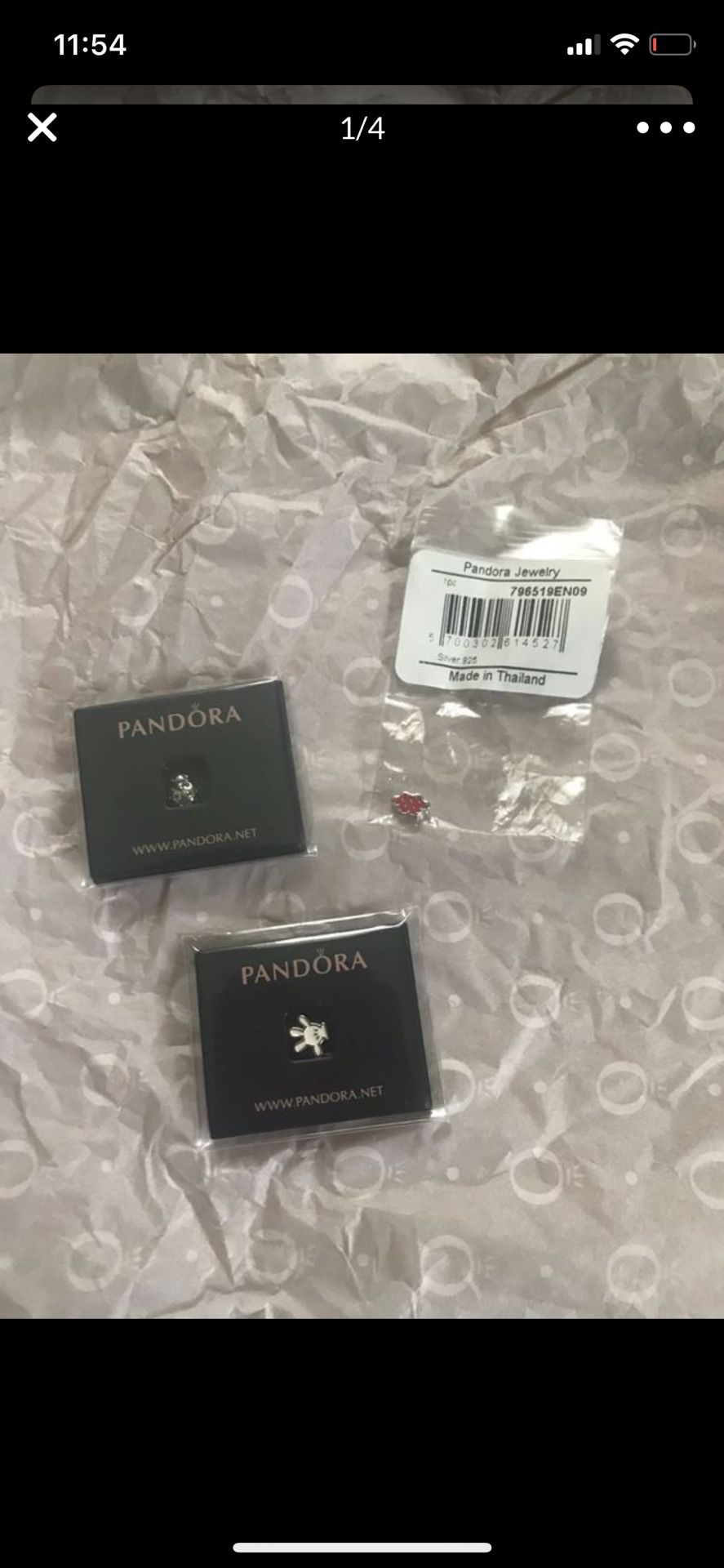 Pandora locket charms
