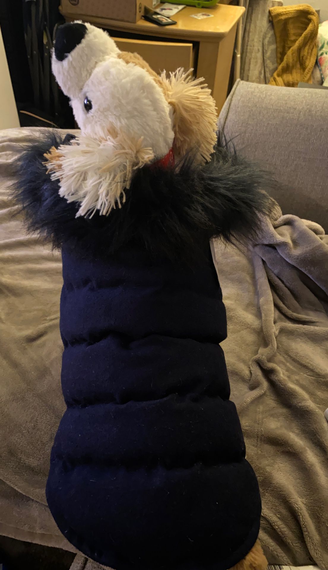 Doggy coat size small