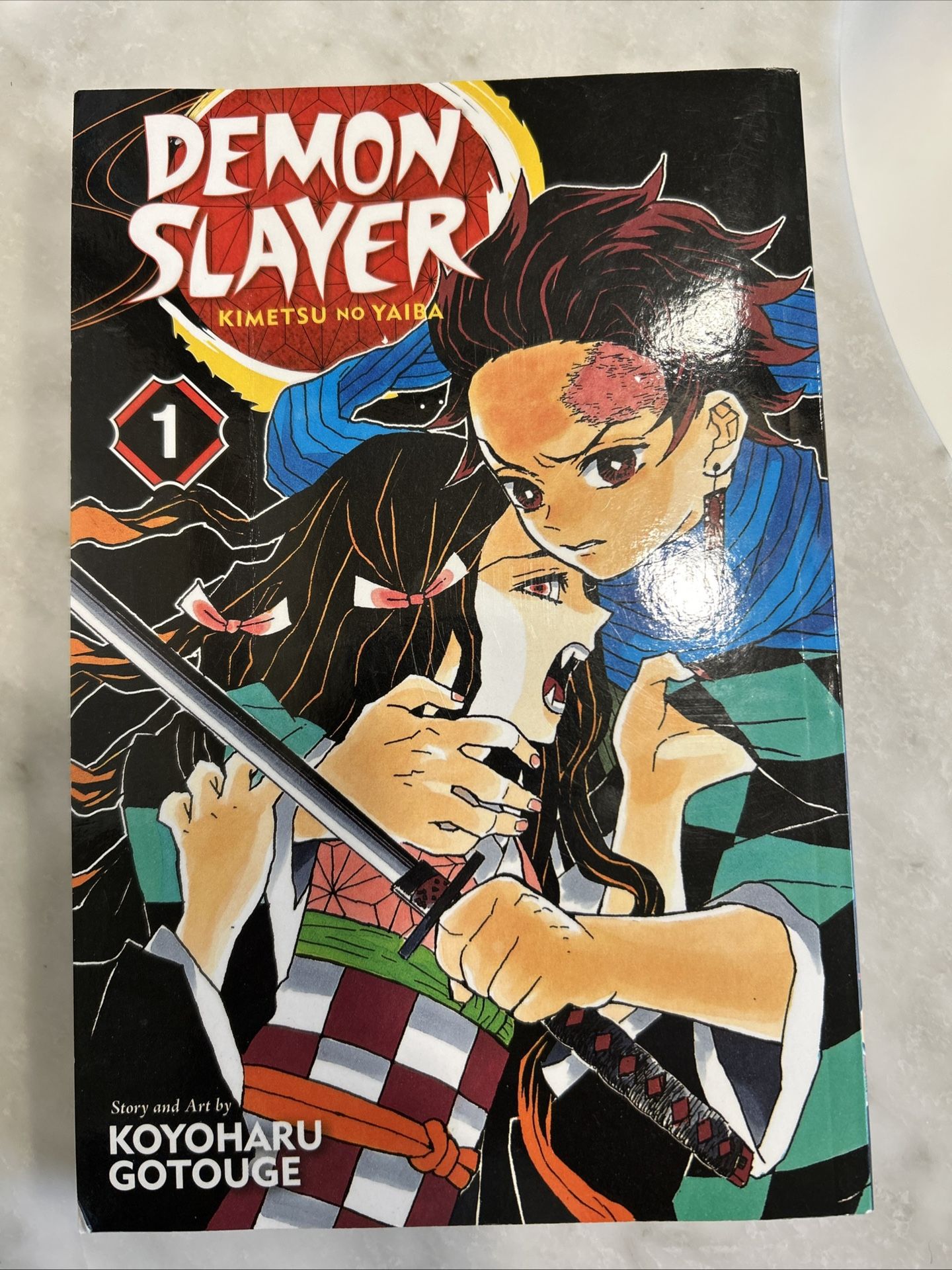 Demon Slayer Manga Vol. 1