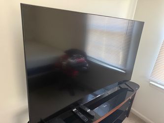 Large Flat Screen TV