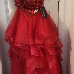 Prom / Party /  Quinceanera Dress