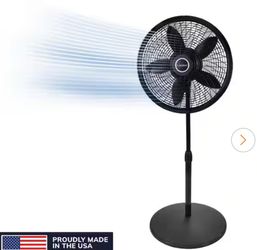 Cyclone 18 in. 3 Speed Oscillating Pedestal Fan