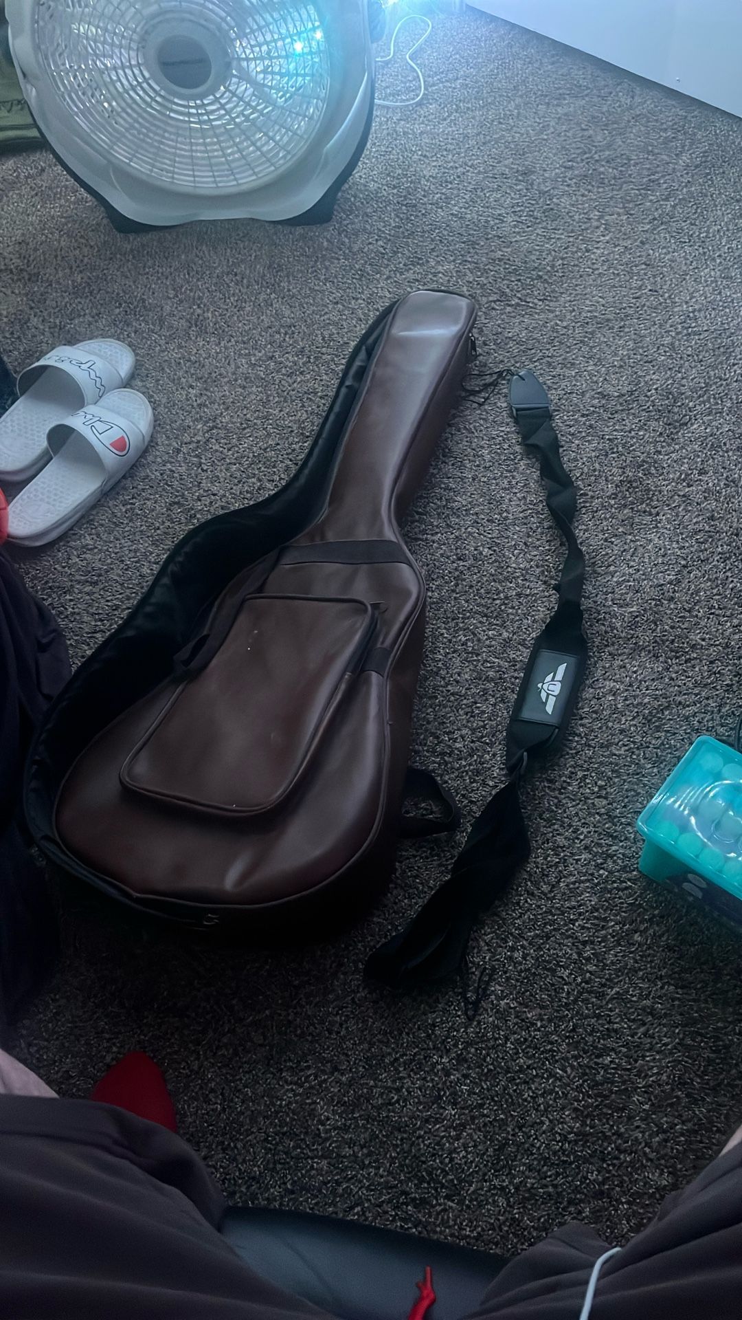 Guitar Case And Strap 