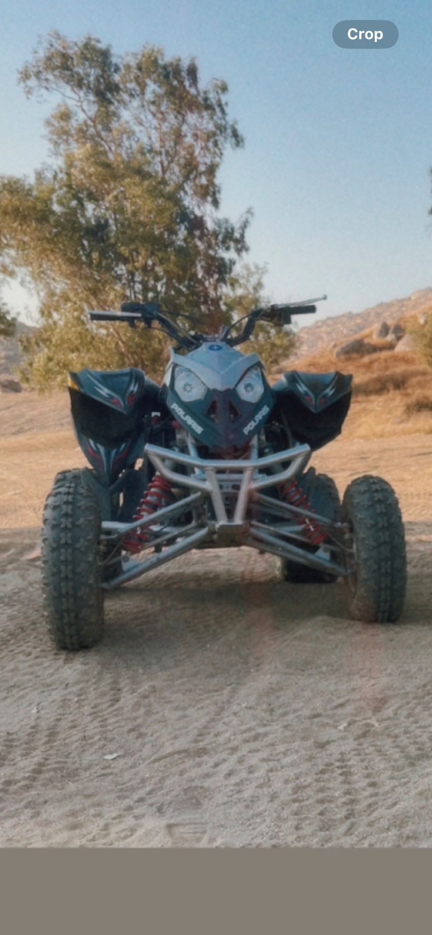 quad polaris 500