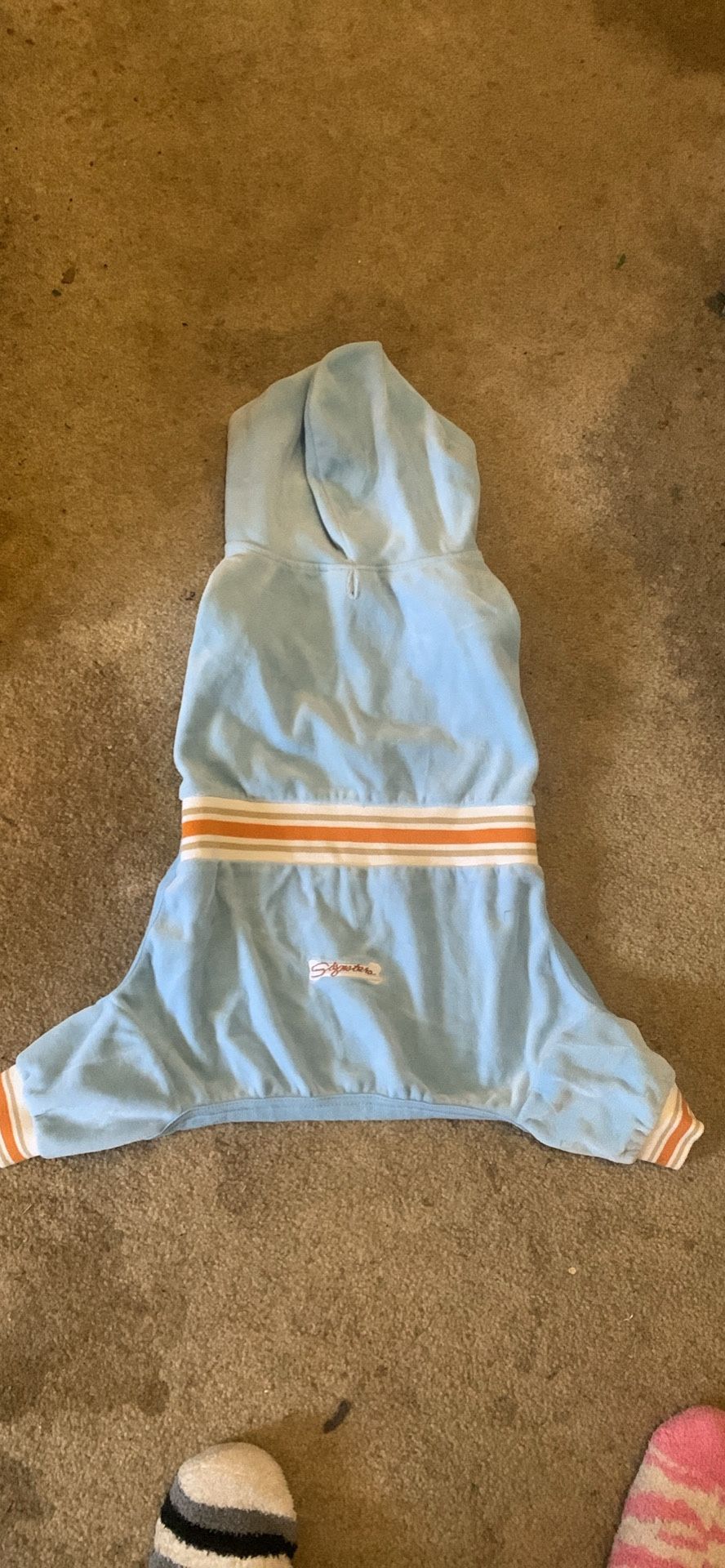 Puppy Hoodie